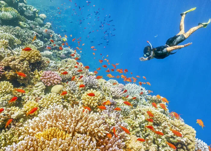 Snorkeling Trip to Sharm El-Naga