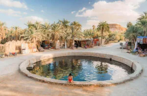 Alexandria to Siwa Oasis – From Coast to Desert