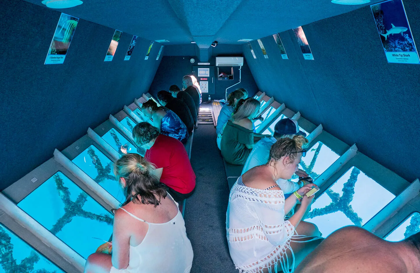 Semi Submarine Trip at Sharm El Sheikh