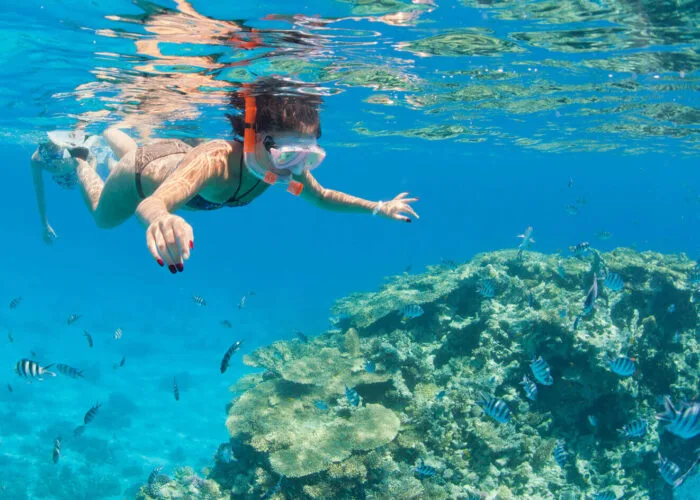 Snorkeling at Ras Mohammed National Park